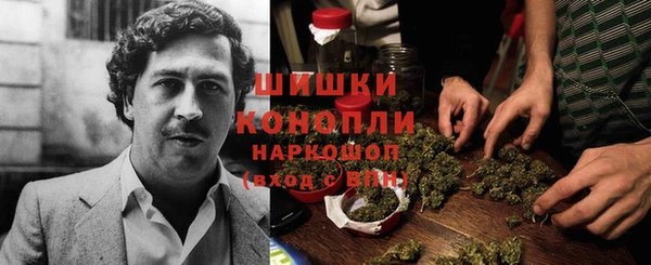 PSILOCYBIN Протвино