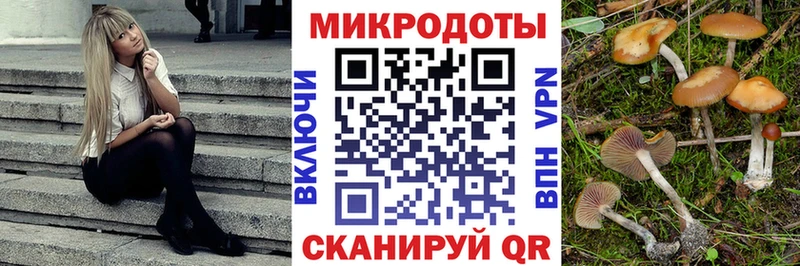 Галлюциногенные грибы Cubensis  Купить где  Касли 